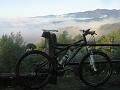 pieve 175